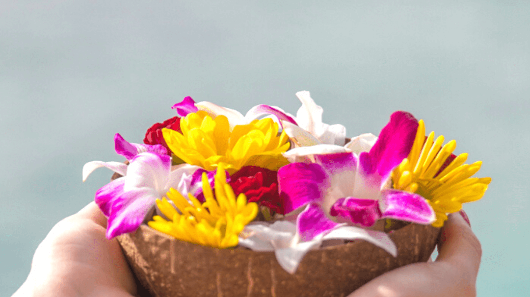 Monthly Eco-Giveback Report: Our Latest Coco Contributions