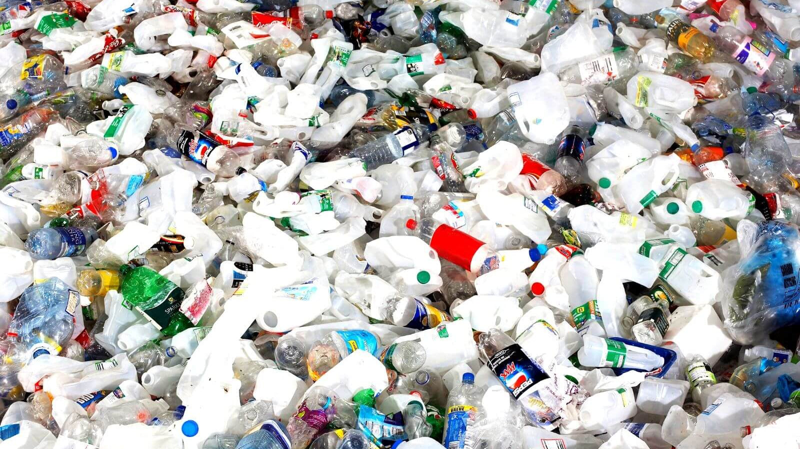 Why You Should Quit Single-Use Products