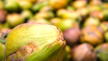 Coco Charity Announcment