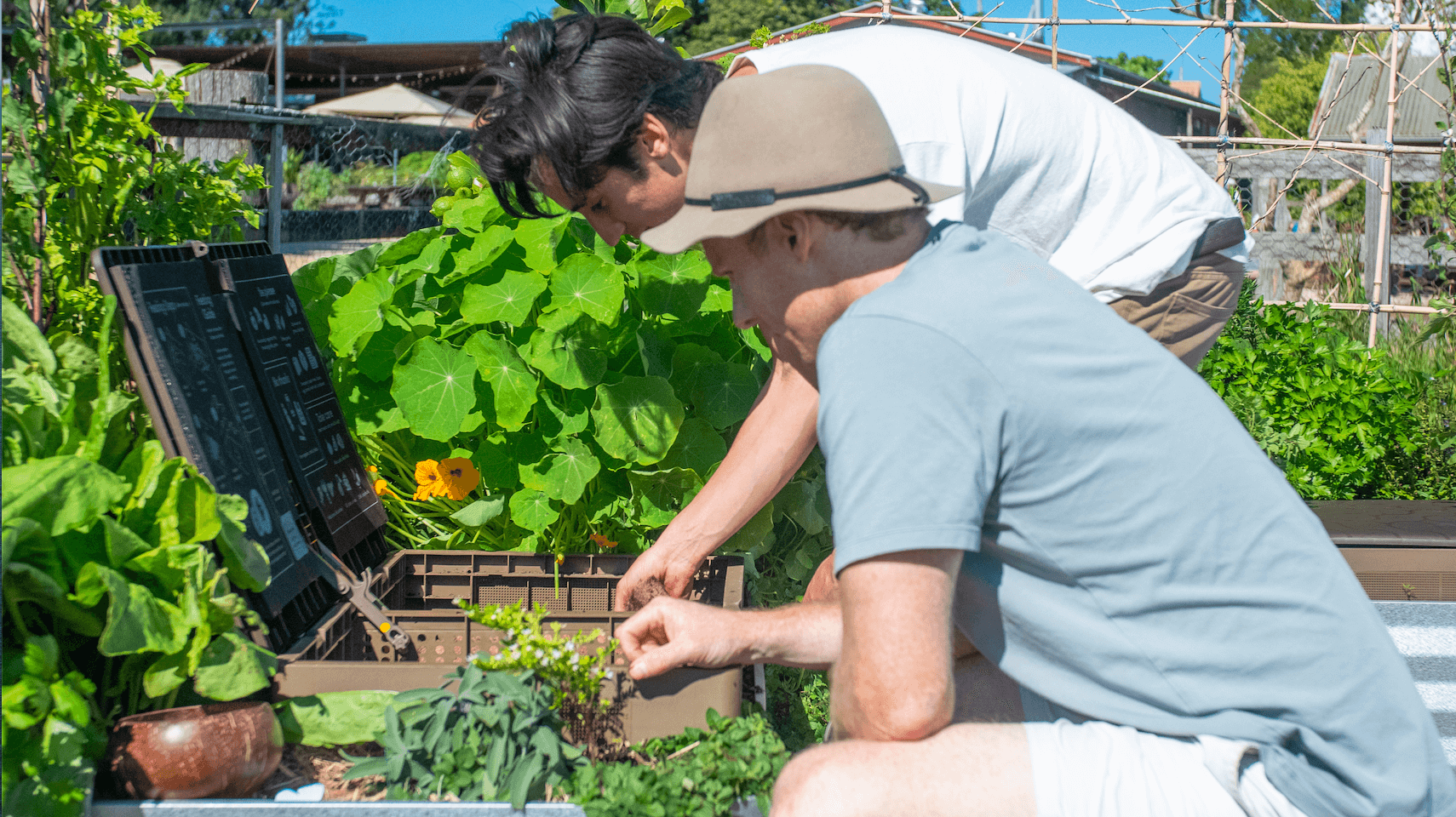 How to turn kitchen waste into compost