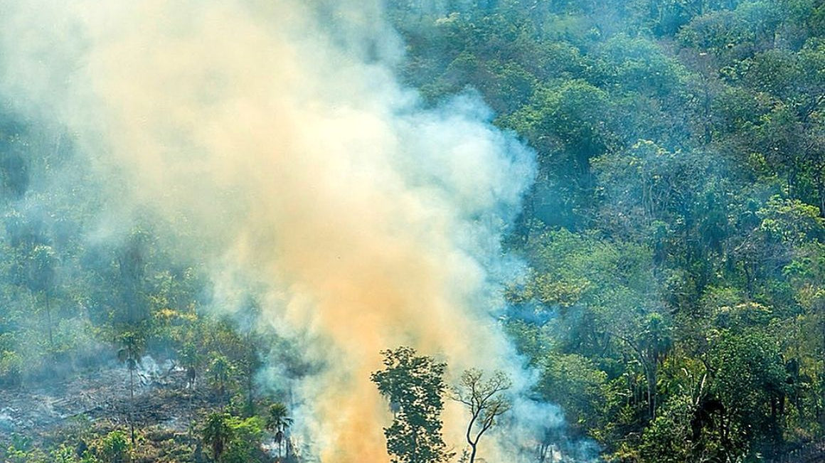 Rainforest Alliance Supports Brazilian Frontliners Fighting Amazon Fires