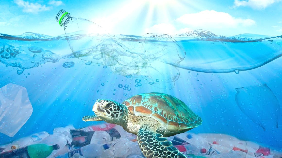 The Cost of Takeaway Products: Why You Should Bring Your Own