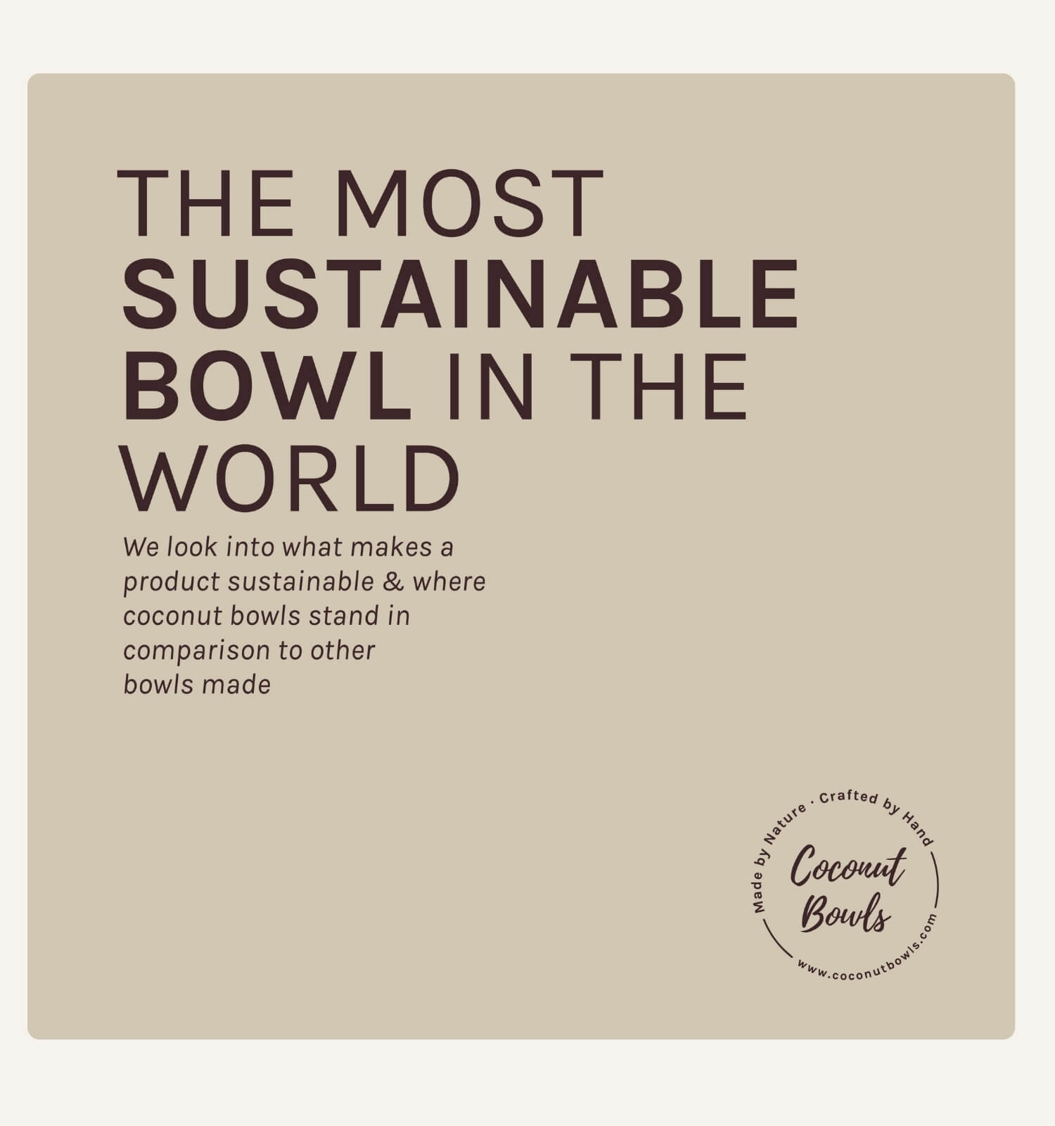 The Most Sustainable Bowl in the World