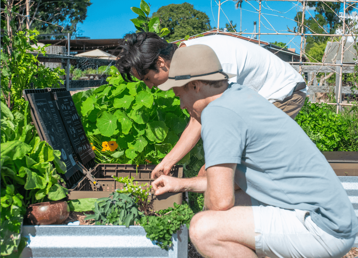 How to turn kitchen waste into compost – Coconut Bowls