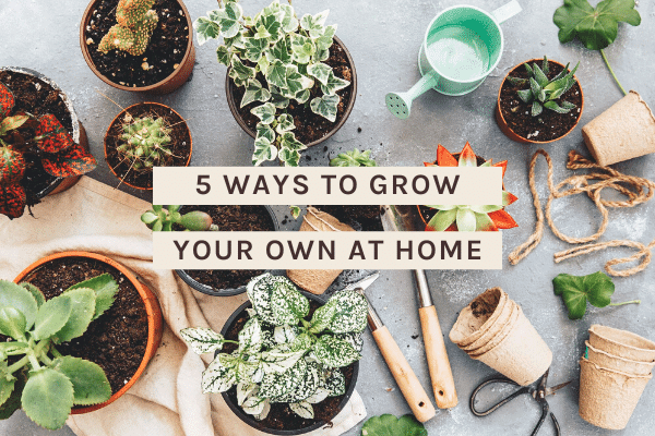 5 Ways to Grow Your Own at Home