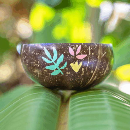 Nature Coconut Bowls