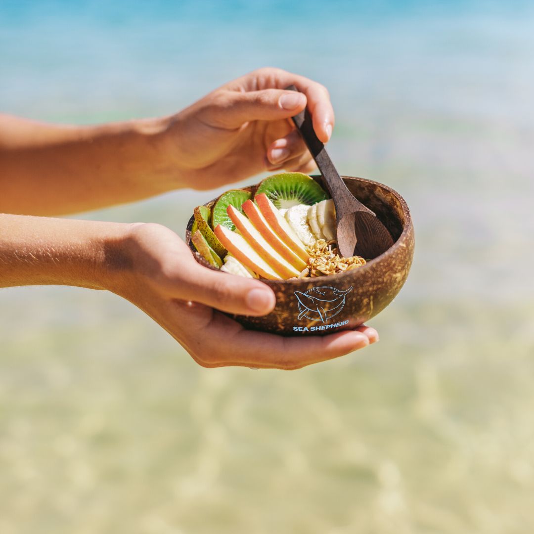 Sea Shepherd Coconut Bowls