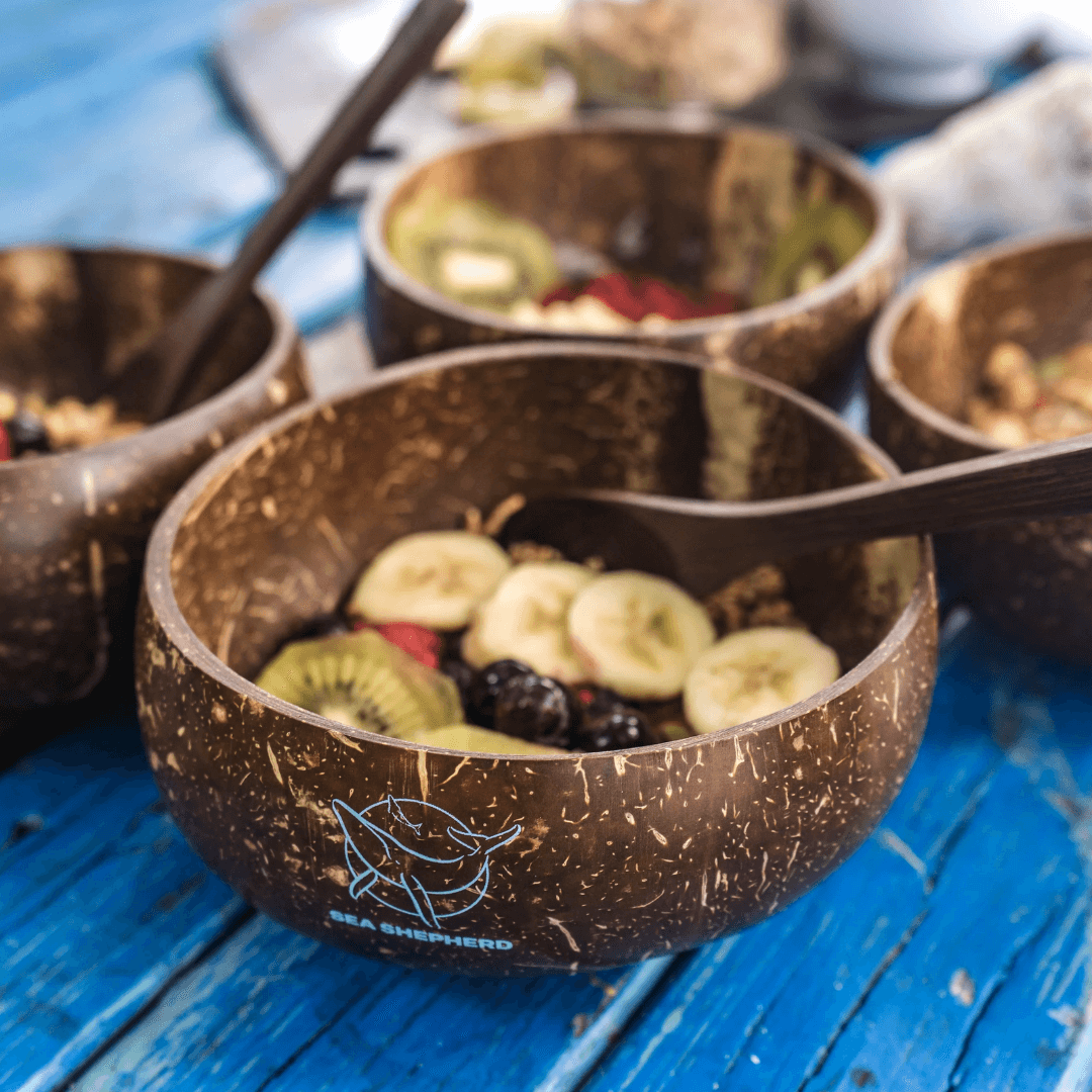 Sea Shepherd Coconut Bowls